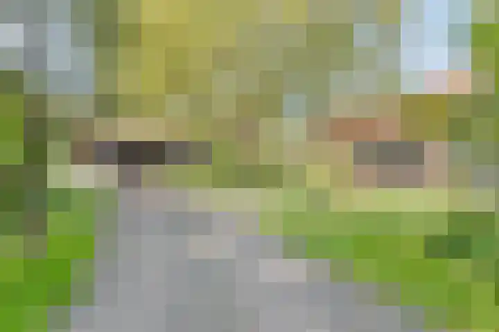 Dinxperlosestraatweg 96 Aalten thumbnail 8