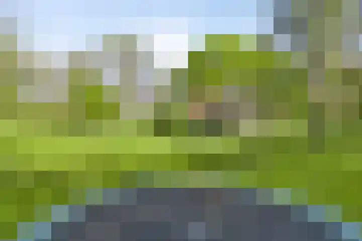 Dinxperlosestraatweg 96 Aalten thumbnail 9