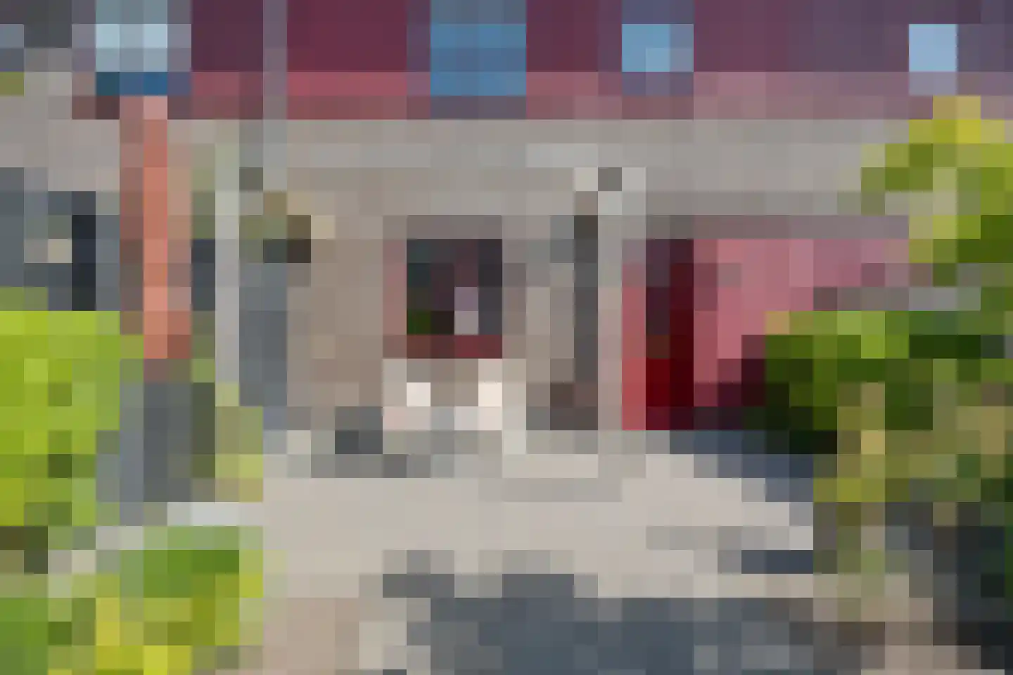 Diny Sprockstraat 82 Leeuwarden thumbnail 40