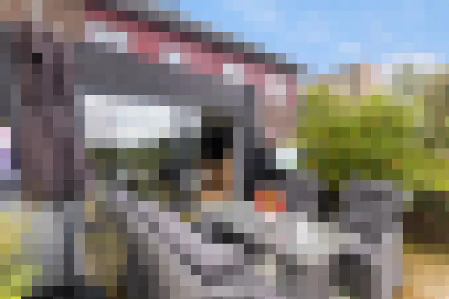 Diny Sprockstraat 90 Leeuwarden thumbnail 13