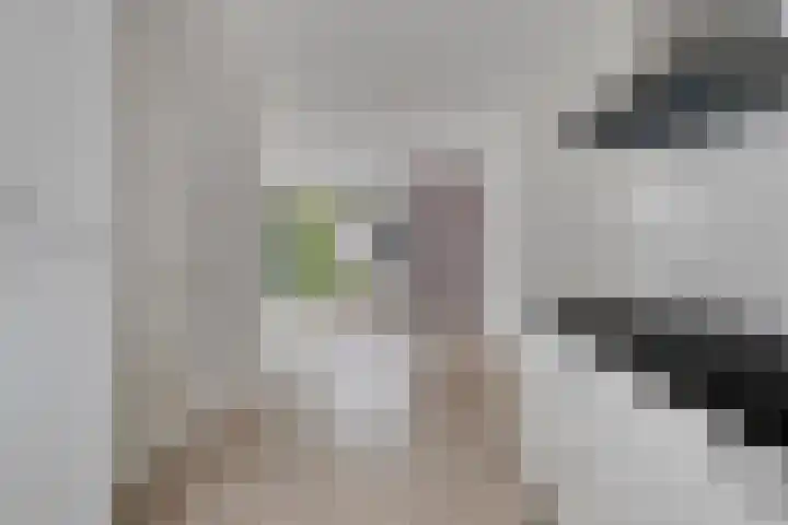Diodehof 18 Eindhoven thumbnail 13