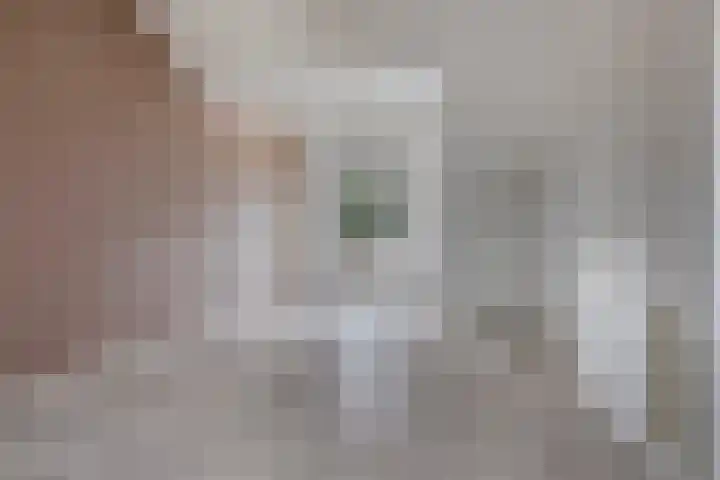 Diodehof 18 Eindhoven thumbnail 21