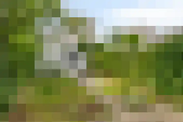 Diodehof 18 Eindhoven thumbnail 22
