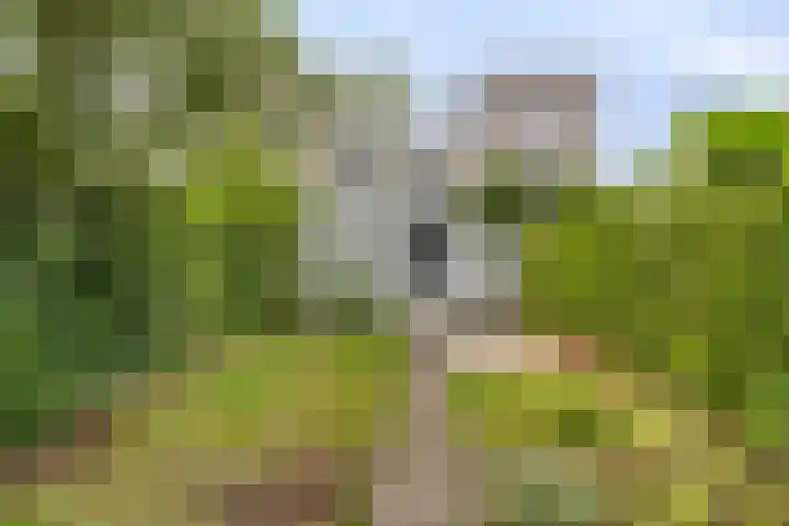 Diodehof 18 Eindhoven thumbnail 23
