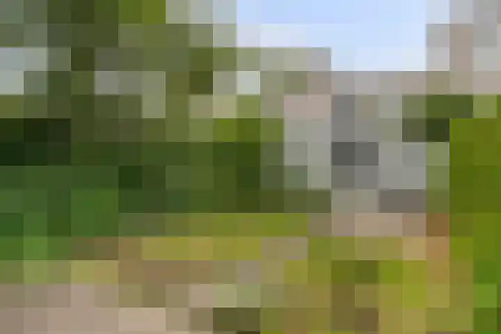 Diodehof 18 Eindhoven thumbnail 24