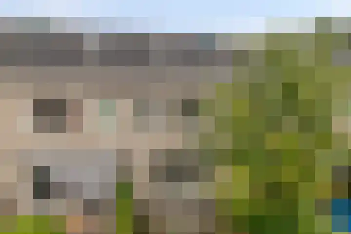 Diodehof 18 Eindhoven thumbnail 25