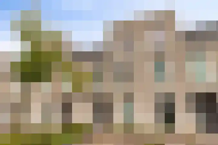 Diodehof 18 Eindhoven thumbnail 26