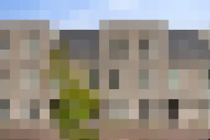 Diodehof 18 Eindhoven thumbnail 28