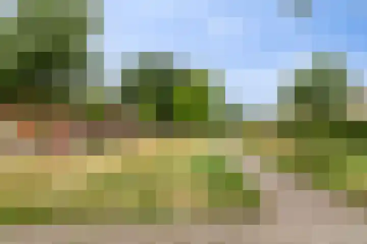 Diodehof 18 Eindhoven thumbnail 30