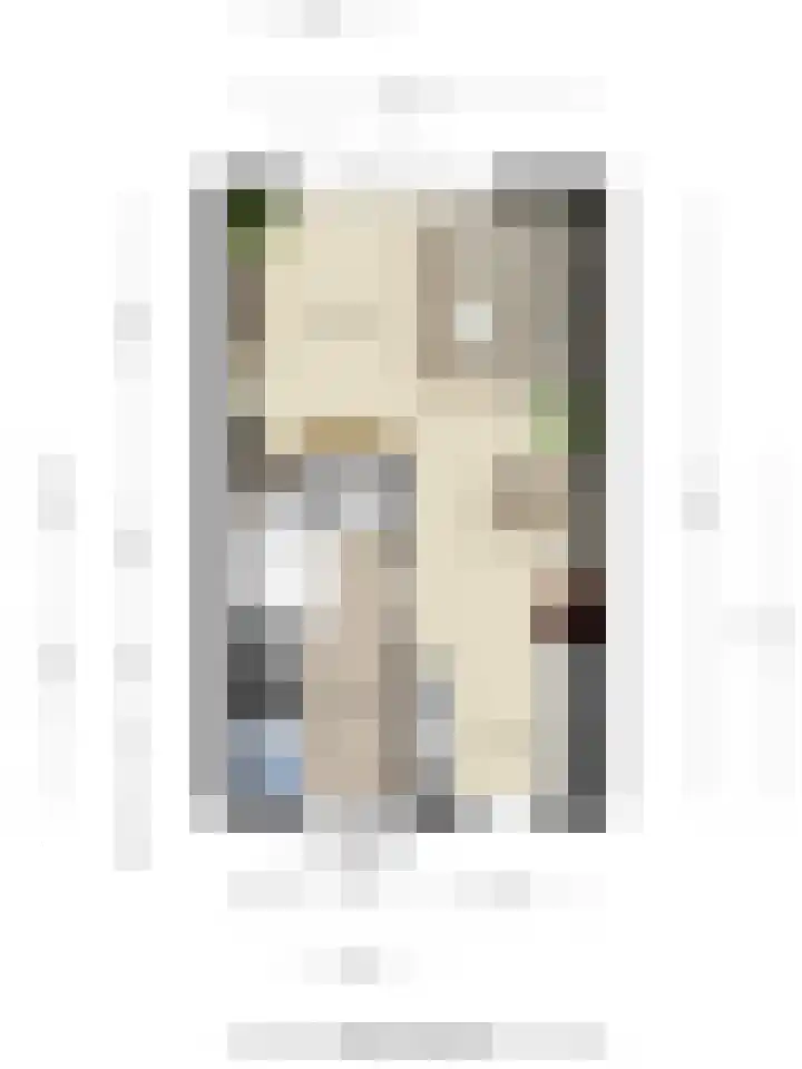 Diodehof 18 Eindhoven thumbnail 32