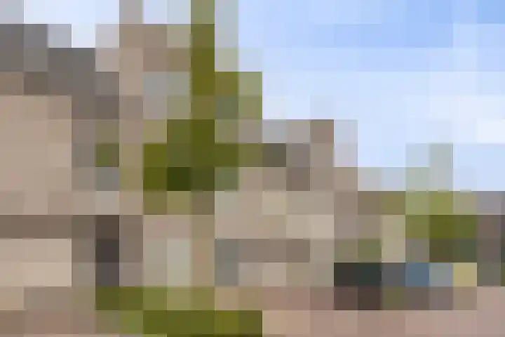 Diodehof 18 Eindhoven thumbnail 7