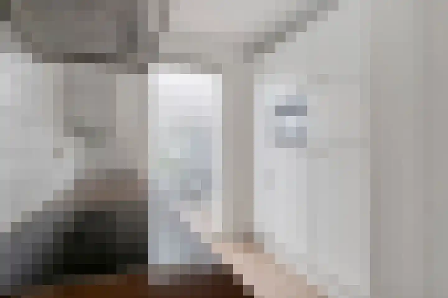 Diodehof 29 Eindhoven thumbnail 15