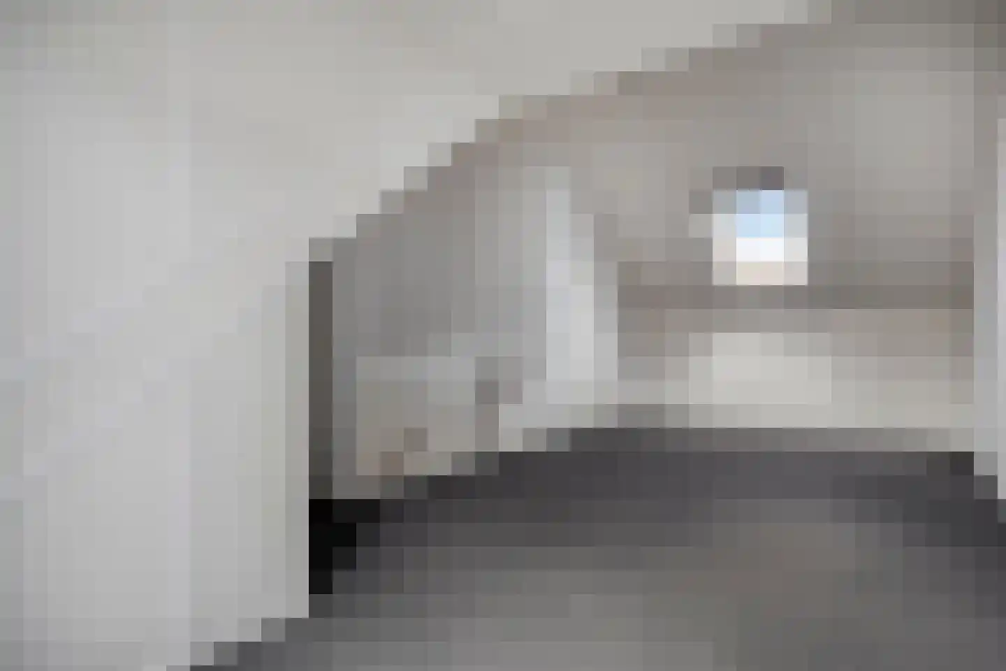 Diodehof 29 Eindhoven thumbnail 33