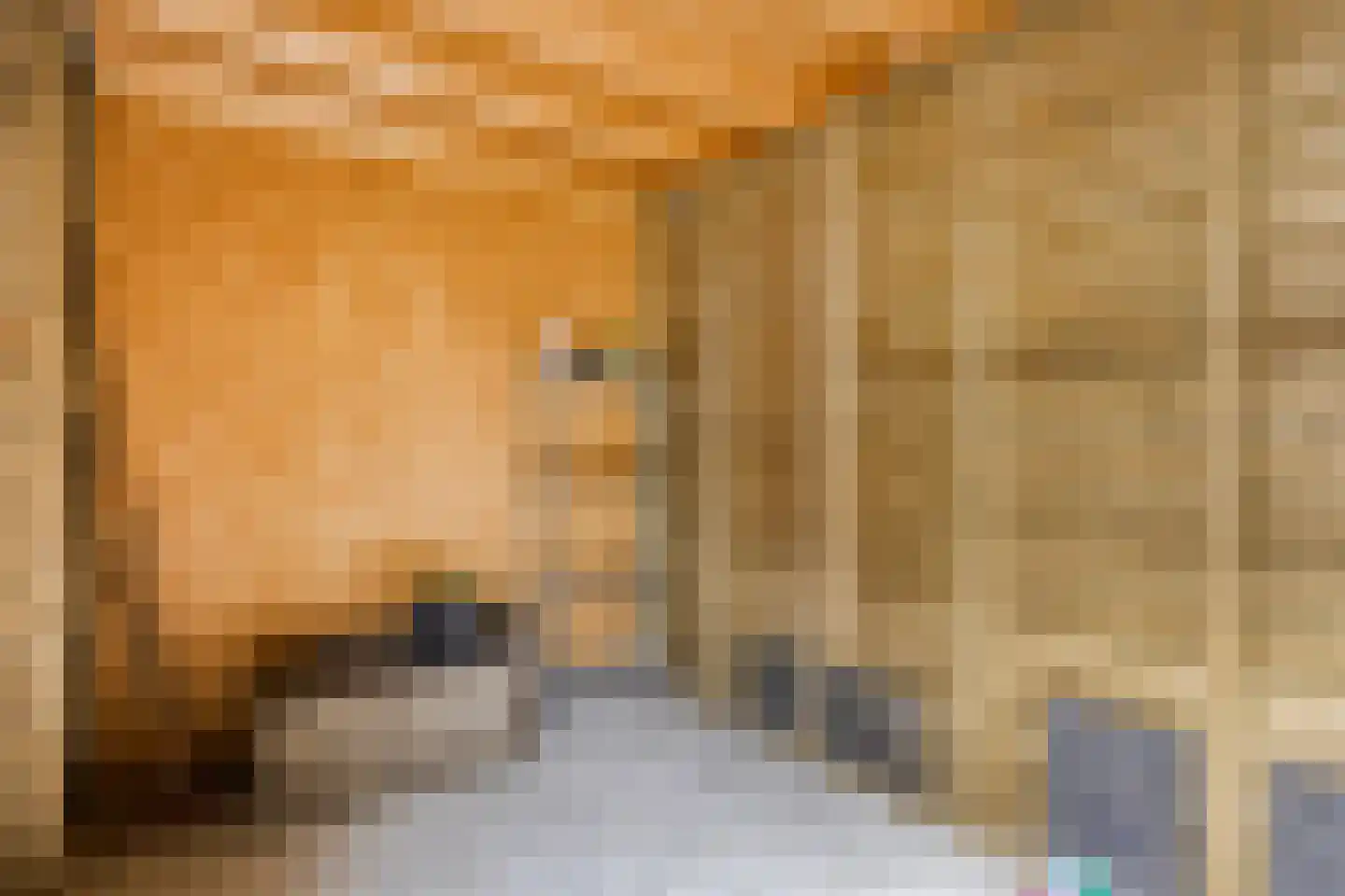 Diodehof 29 Eindhoven thumbnail 35