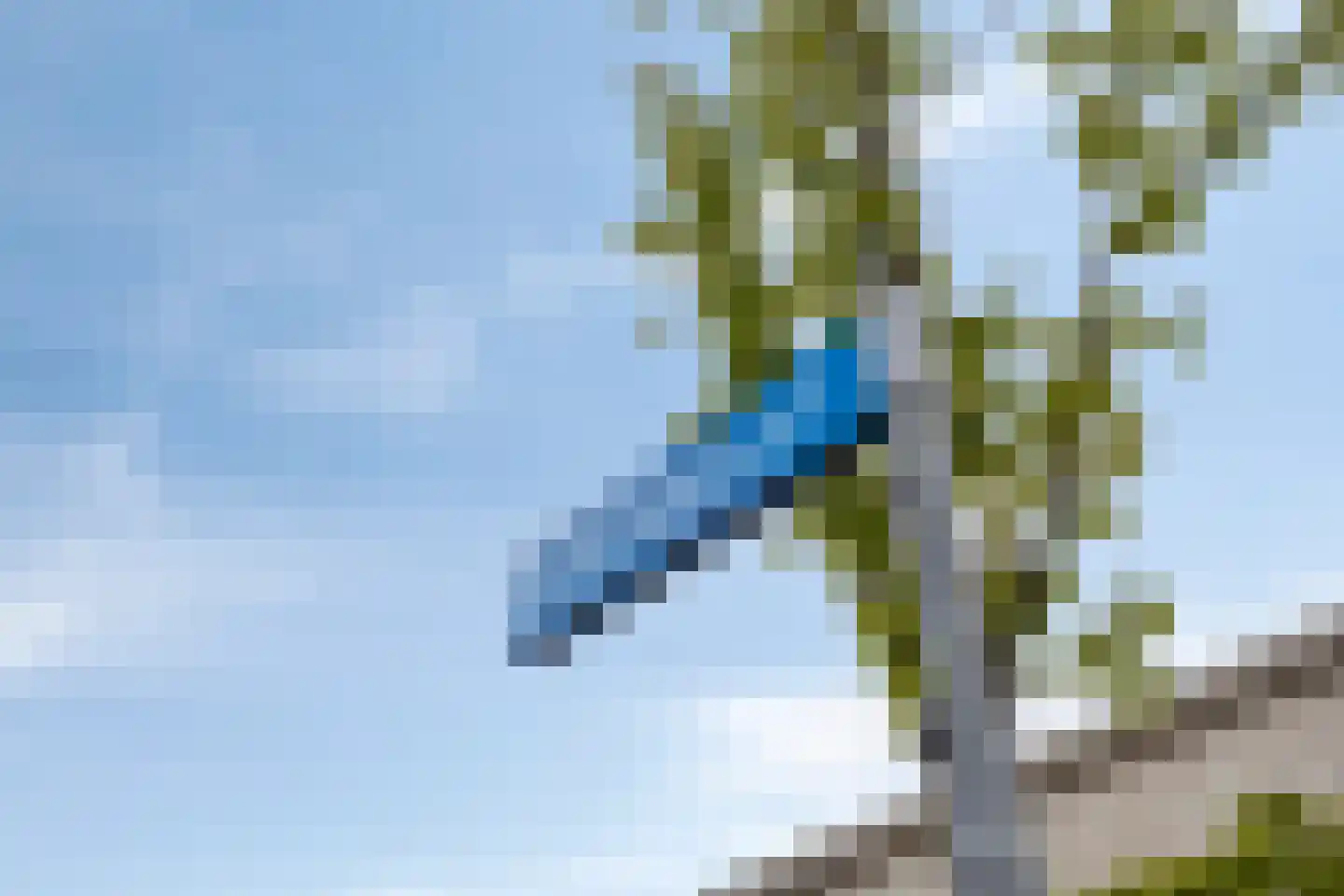 Diodehof 29 Eindhoven thumbnail 42