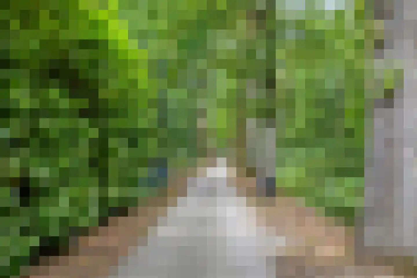 Diodehof 29 Eindhoven thumbnail 44