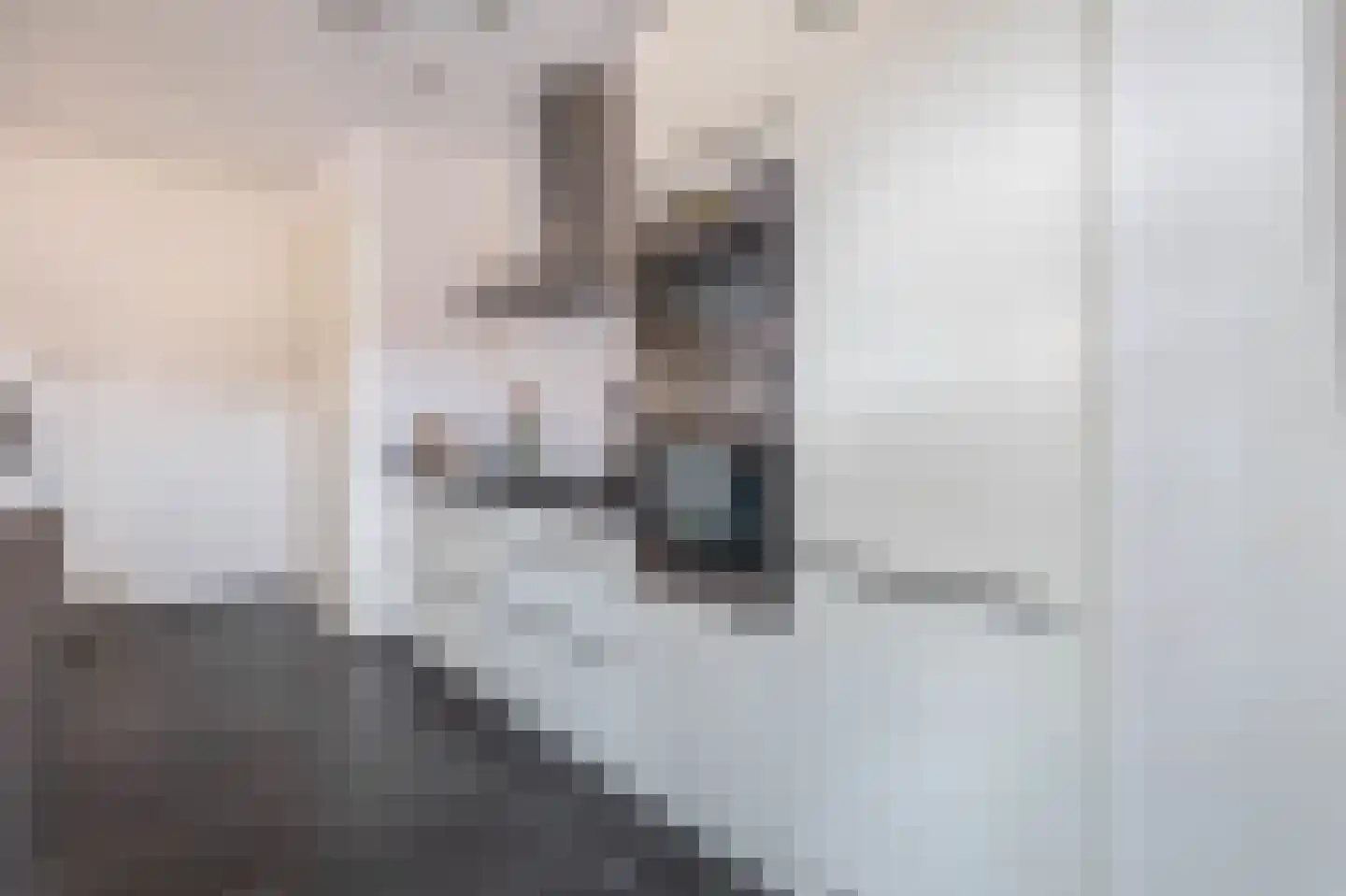 Diodehof 3 Eindhoven thumbnail 18