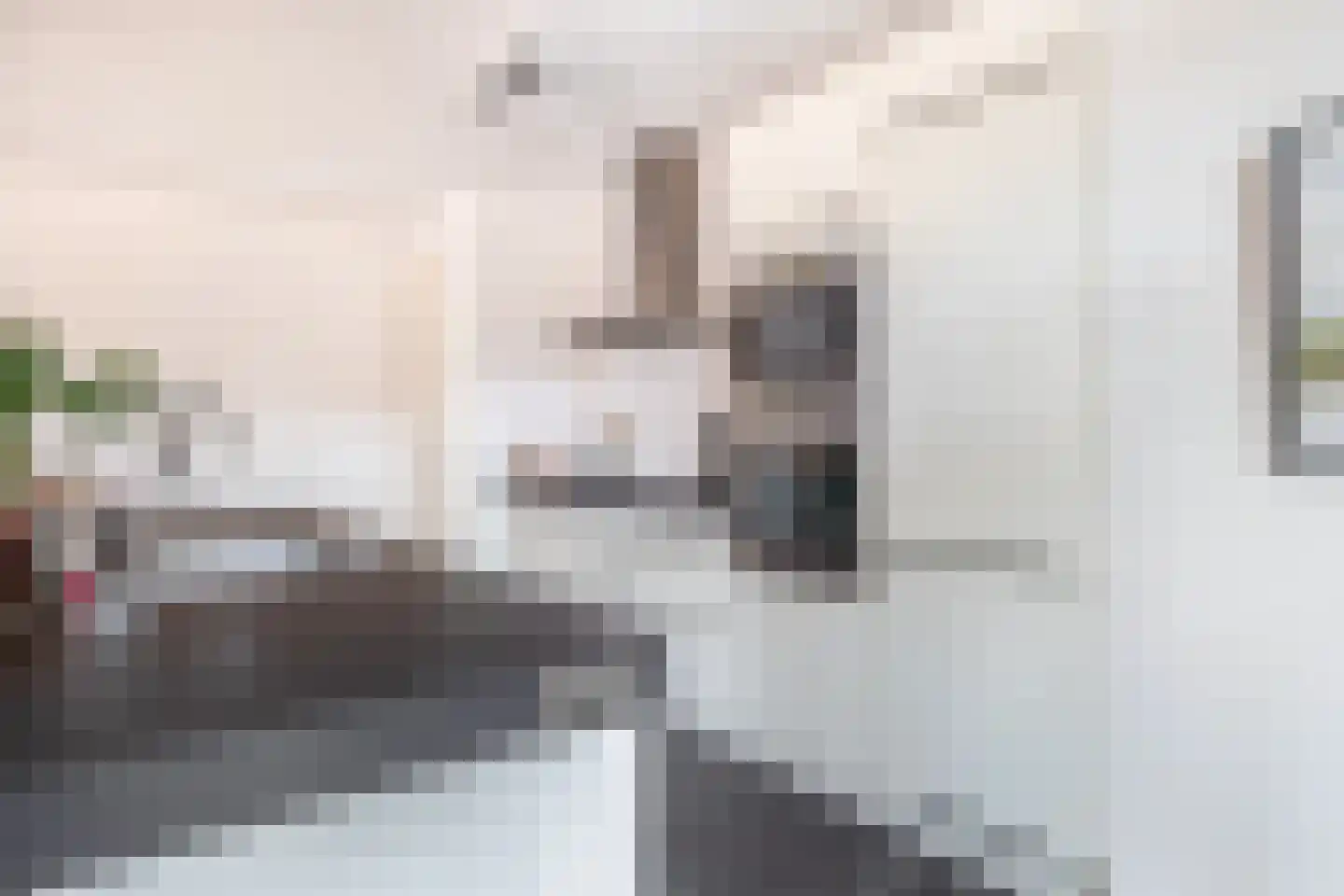 Diodehof 3 Eindhoven thumbnail 21