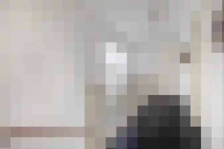Diodehof 3 Eindhoven thumbnail 26