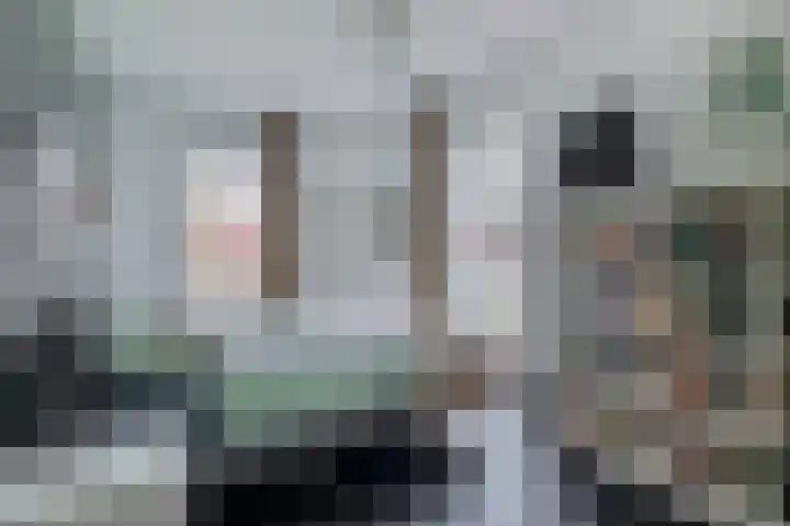 Diodehof 3 Eindhoven thumbnail 27