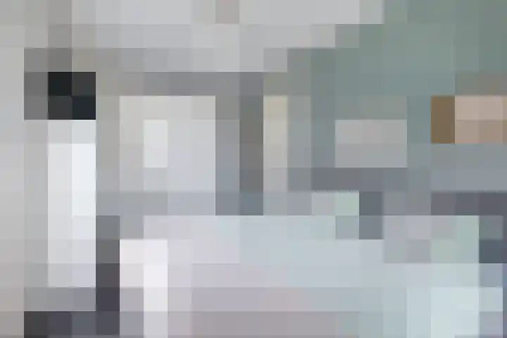 Diodehof 3 Eindhoven thumbnail 28