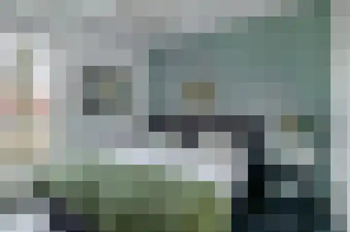 Diodehof 3 Eindhoven thumbnail 29
