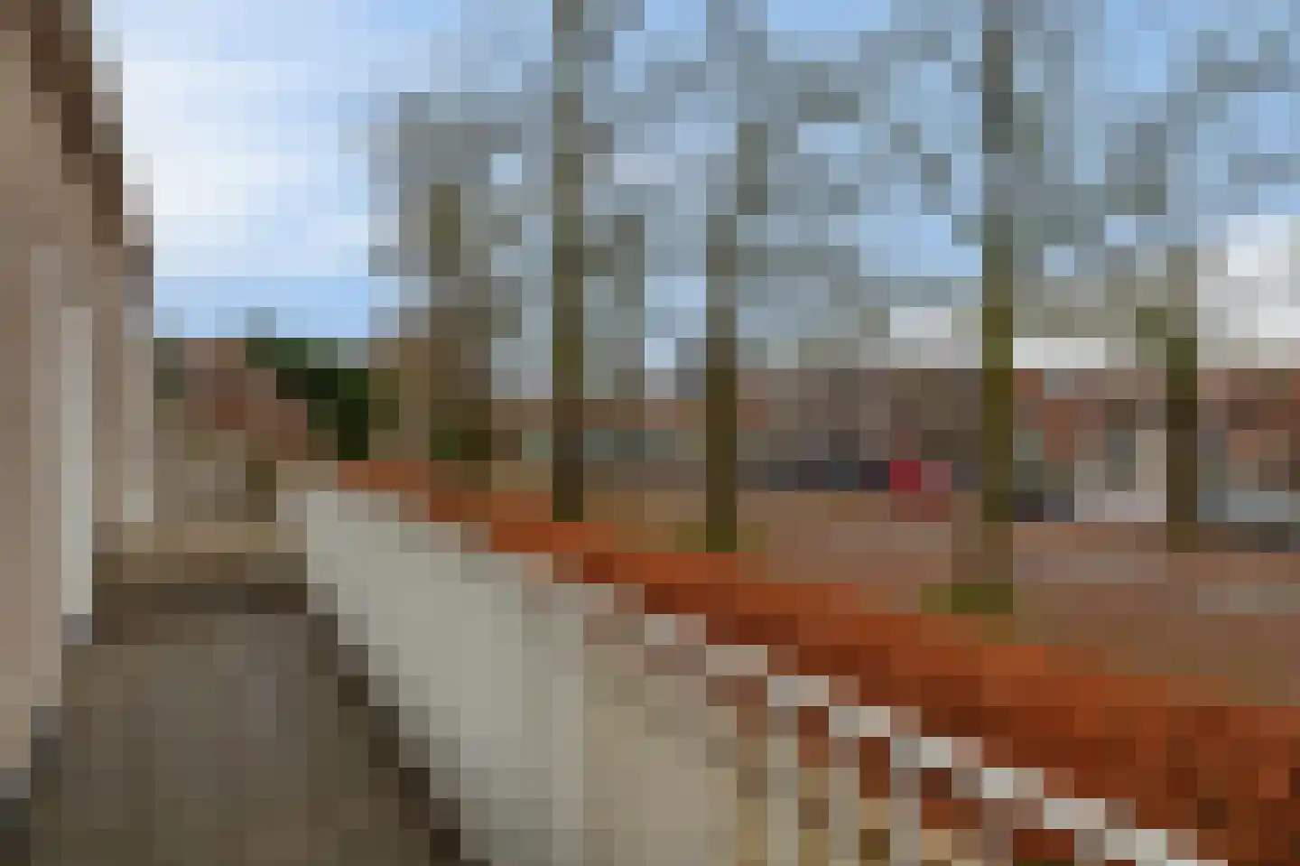 Diodehof 3 Eindhoven thumbnail 31