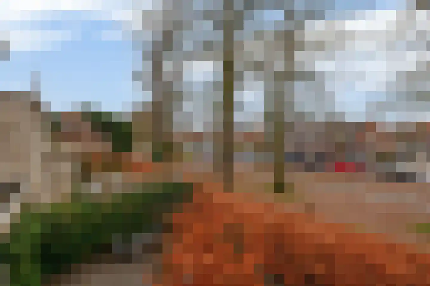 Diodehof 3 Eindhoven thumbnail 32