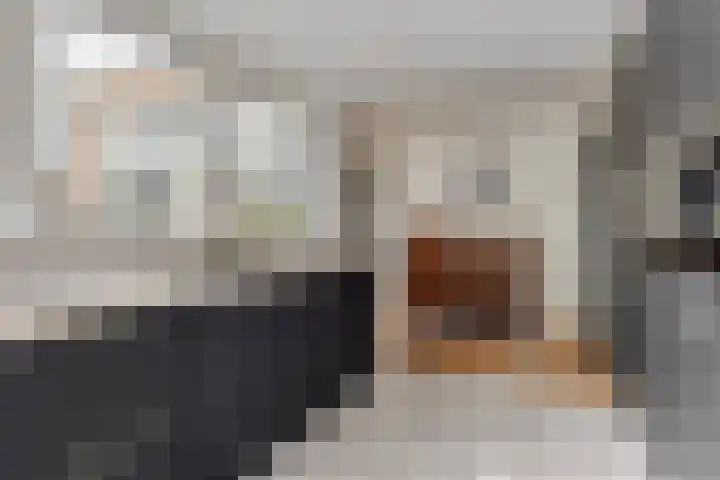 Diodehof 3 Eindhoven thumbnail 32