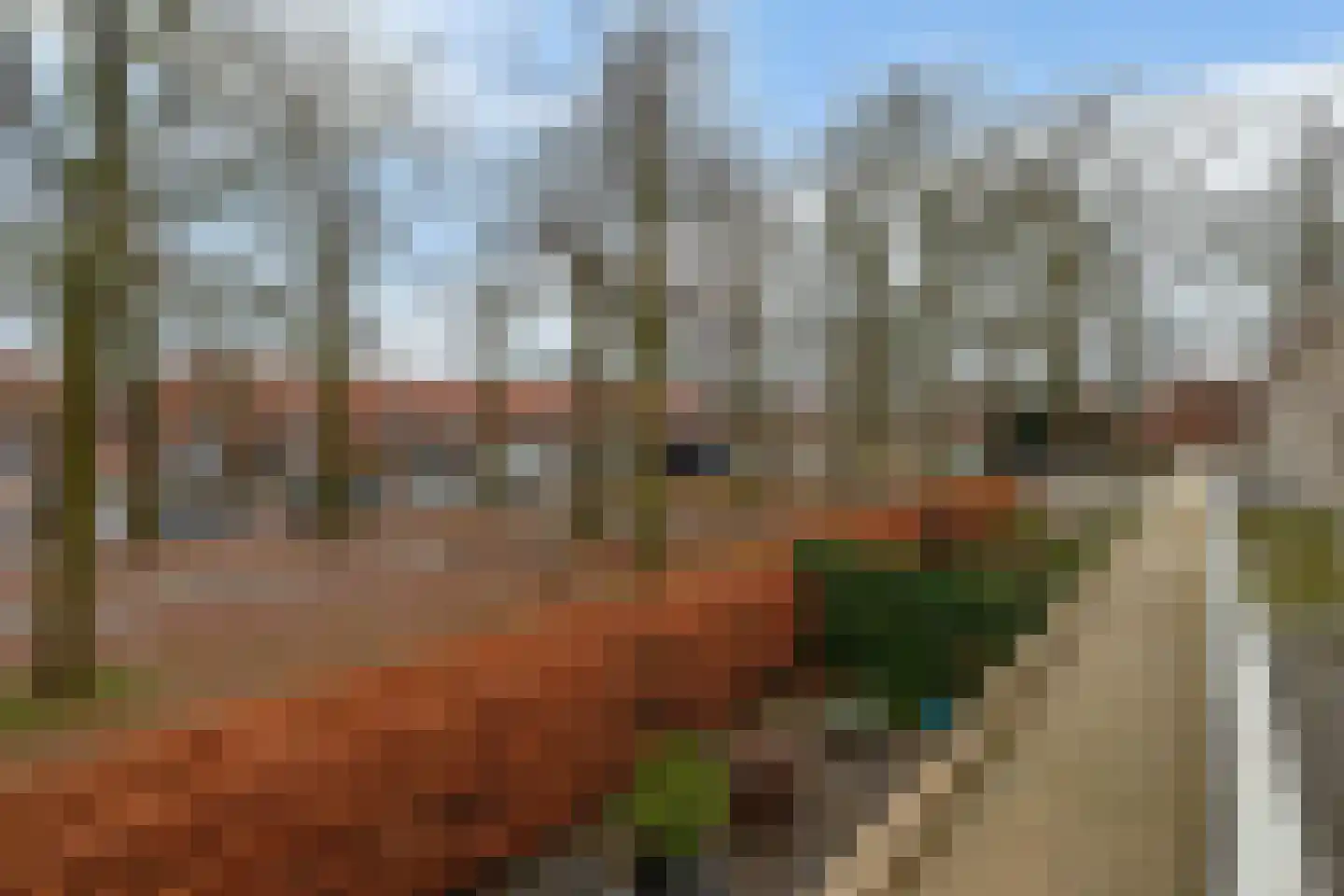Diodehof 3 Eindhoven thumbnail 33