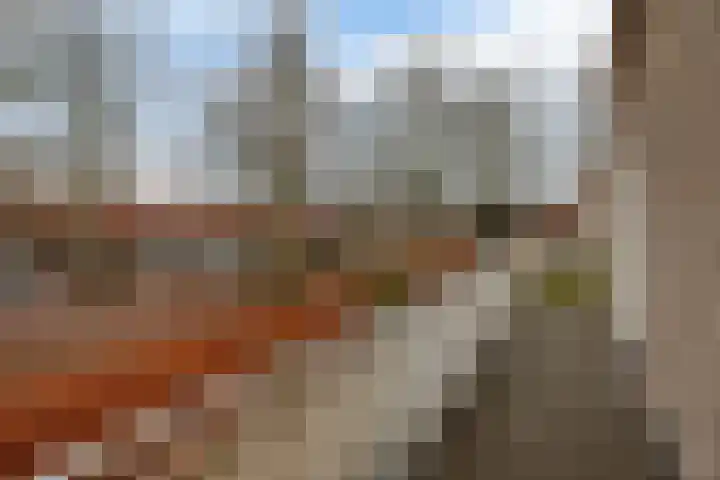 Diodehof 3 Eindhoven thumbnail 34