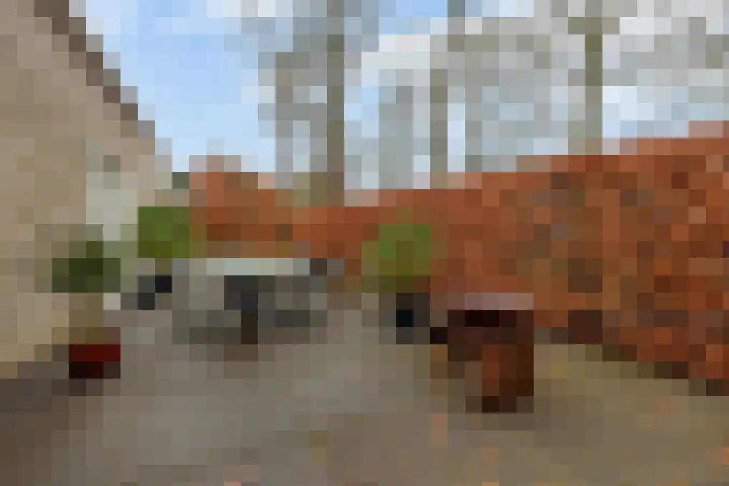 Diodehof 3 Eindhoven thumbnail 35