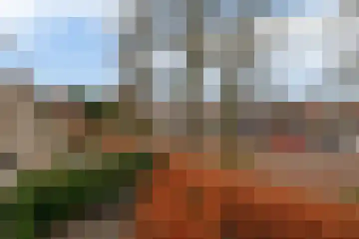 Diodehof 3 Eindhoven thumbnail 36