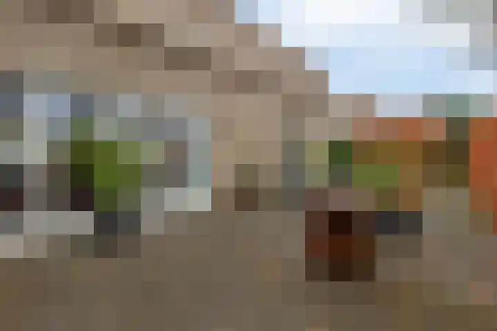 Diodehof 3 Eindhoven thumbnail 38
