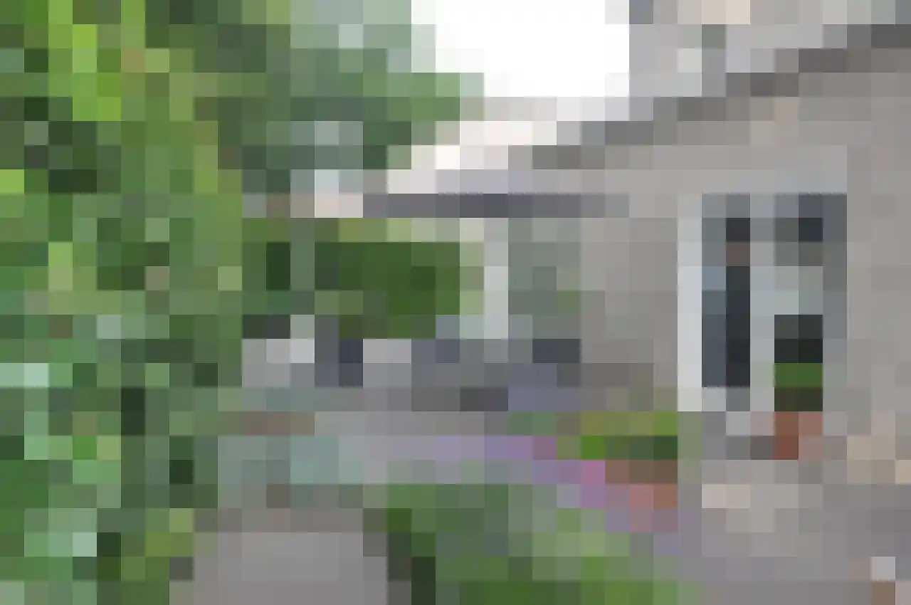 Diodehof 3 Eindhoven thumbnail 40