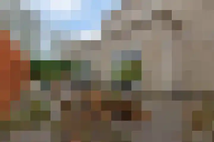 Diodehof 3 Eindhoven thumbnail 40