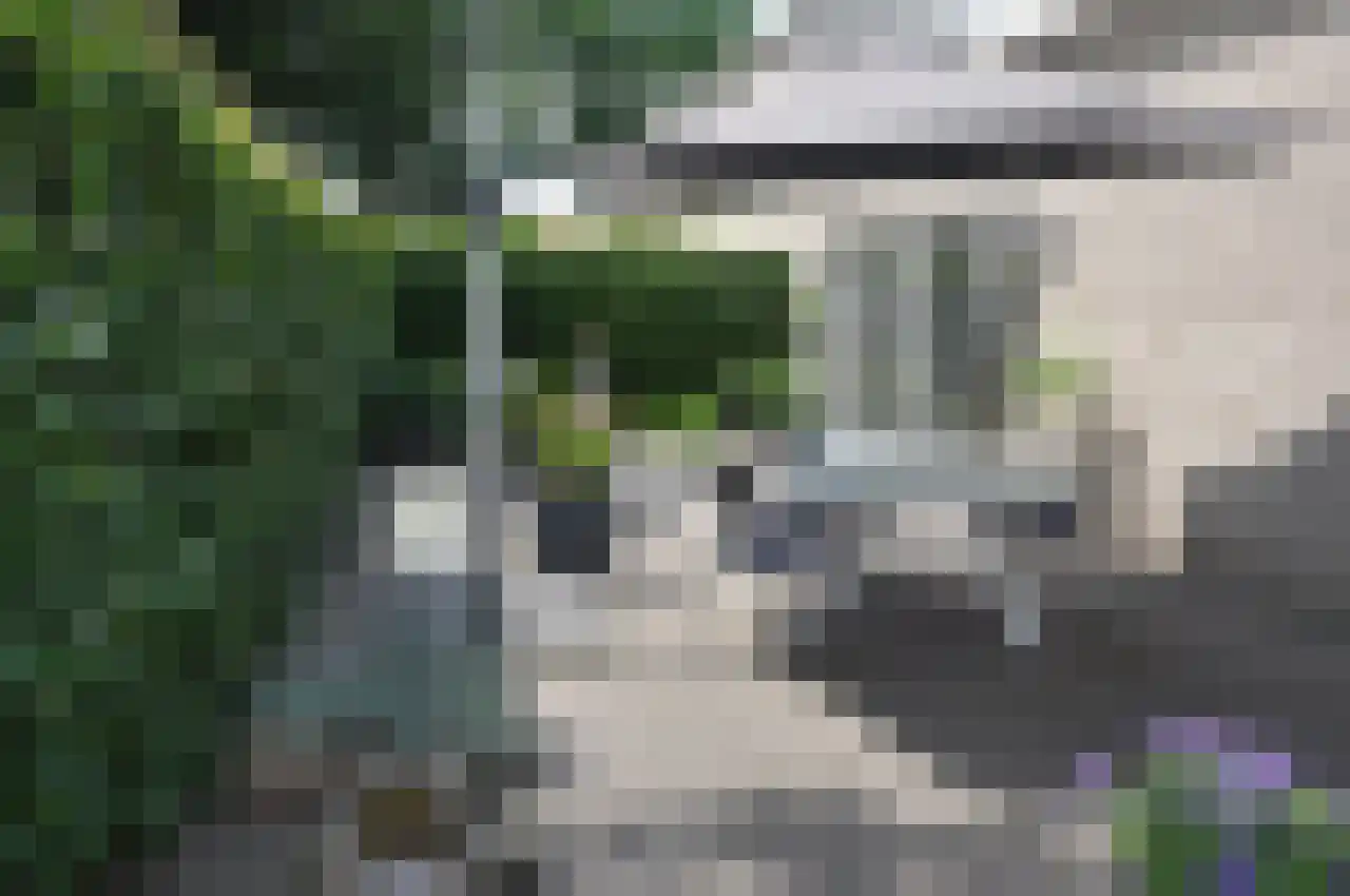Diodehof 3 Eindhoven thumbnail 41