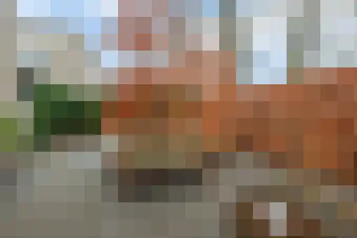 Diodehof 3 Eindhoven thumbnail 41