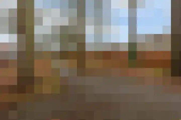 Diodehof 3 Eindhoven thumbnail 44