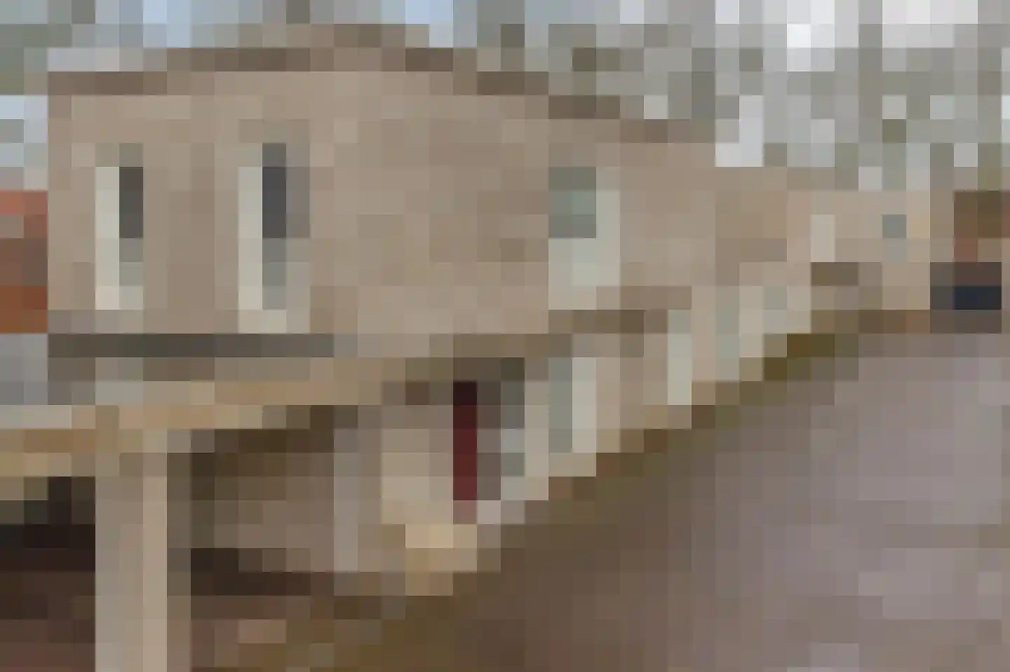 Diodehof 3 Eindhoven thumbnail 47