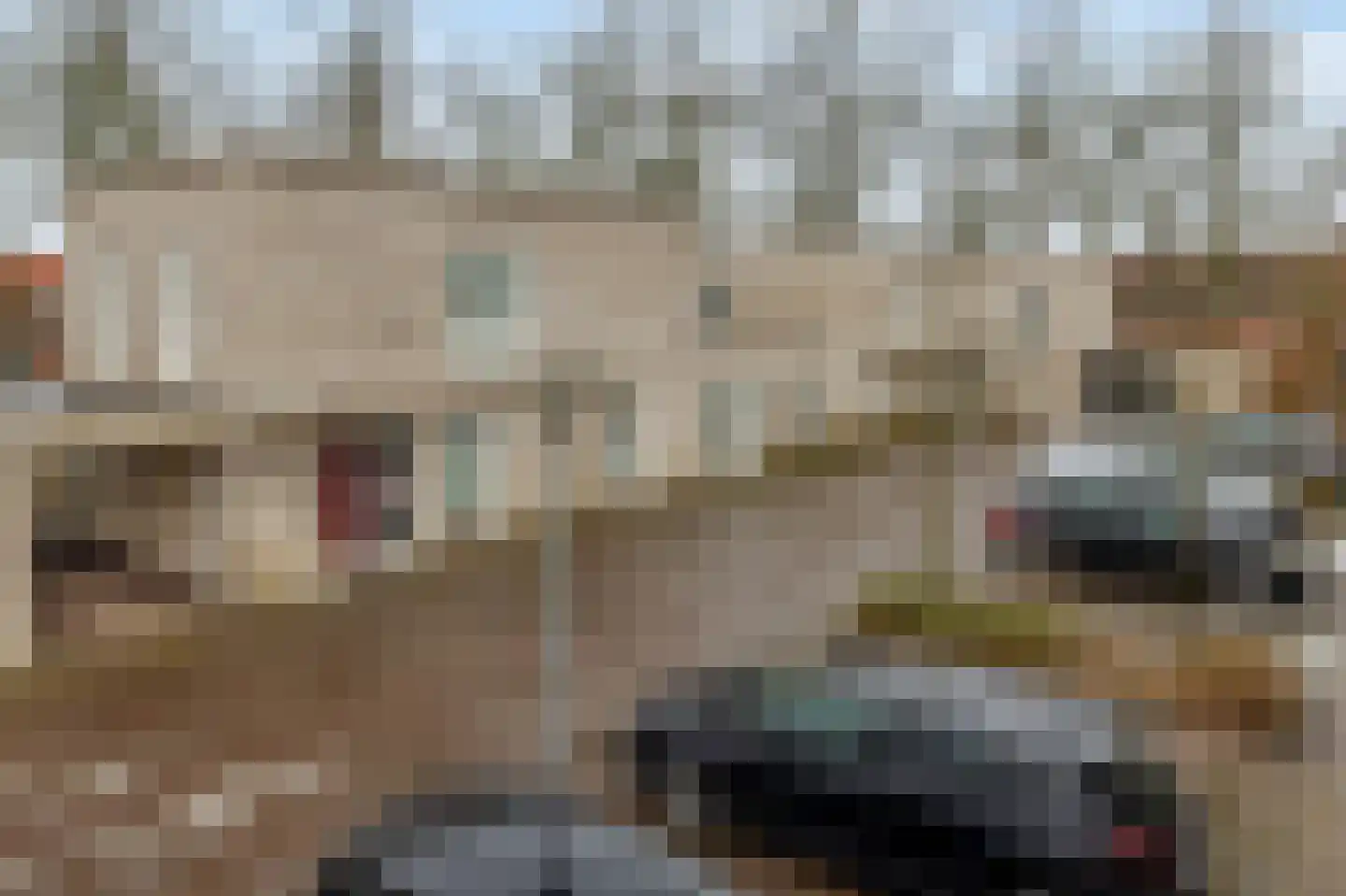 Diodehof 3 Eindhoven thumbnail 49