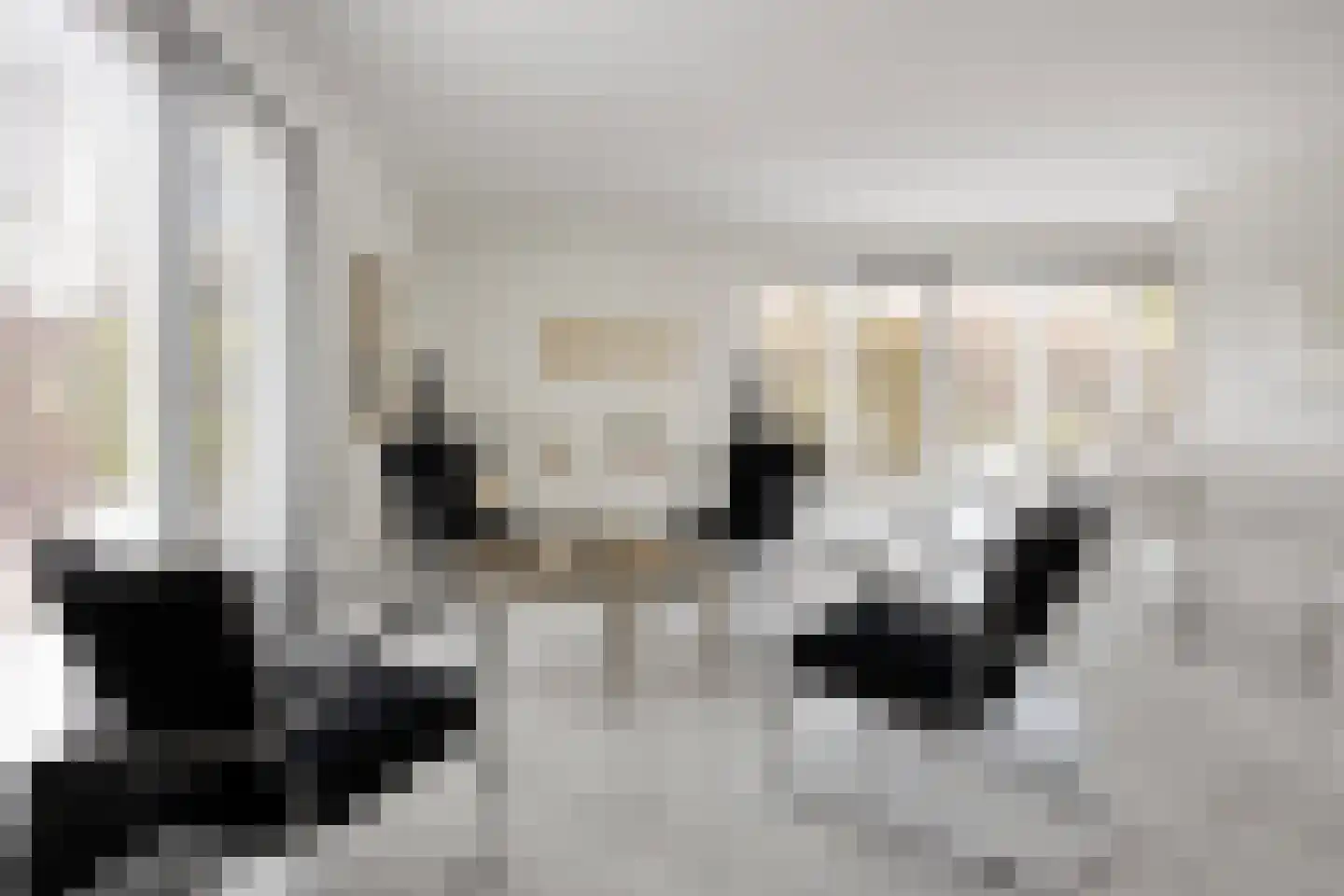 Diodehof 7 Eindhoven thumbnail 10