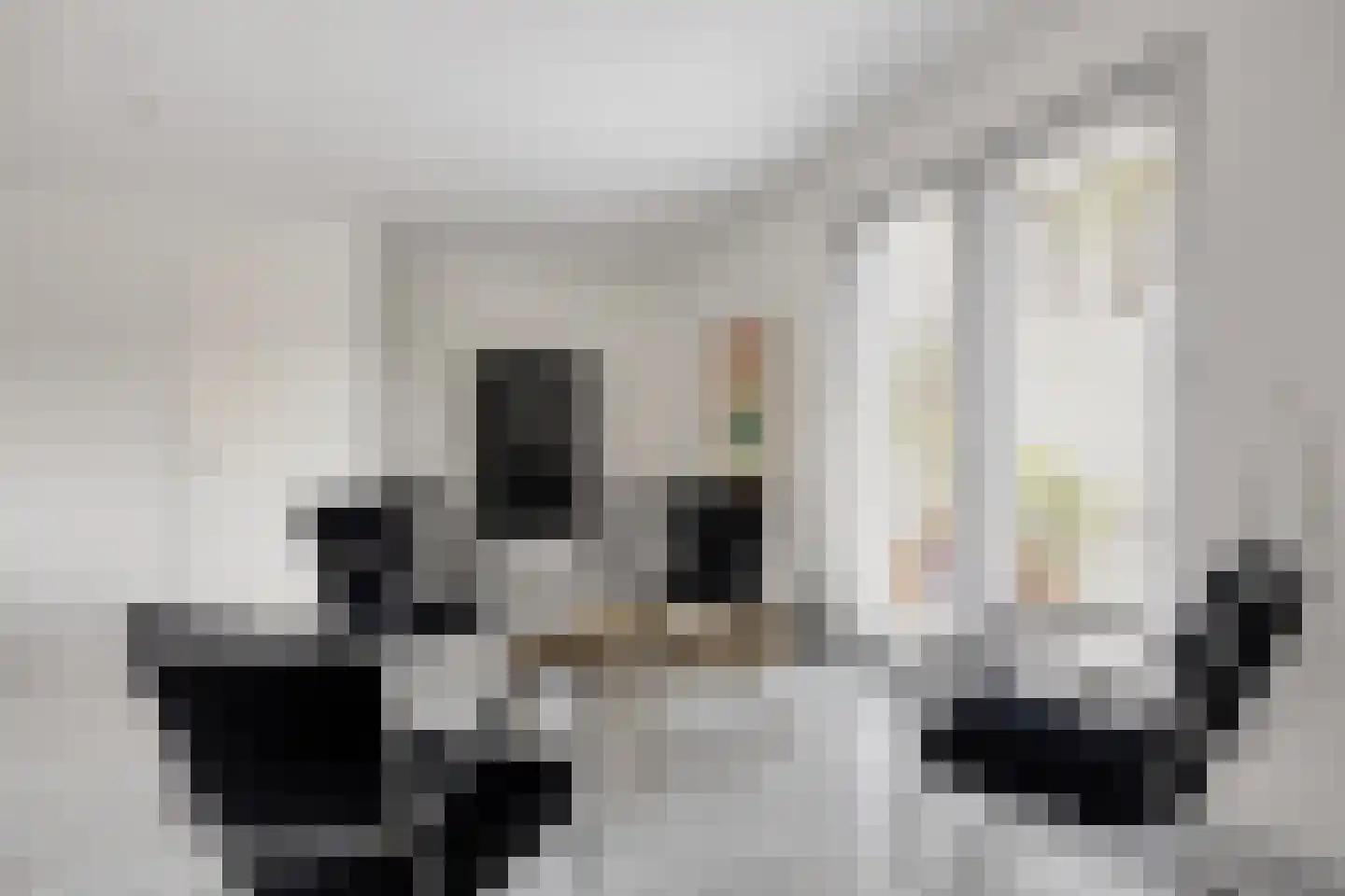 Diodehof 7 Eindhoven thumbnail 11