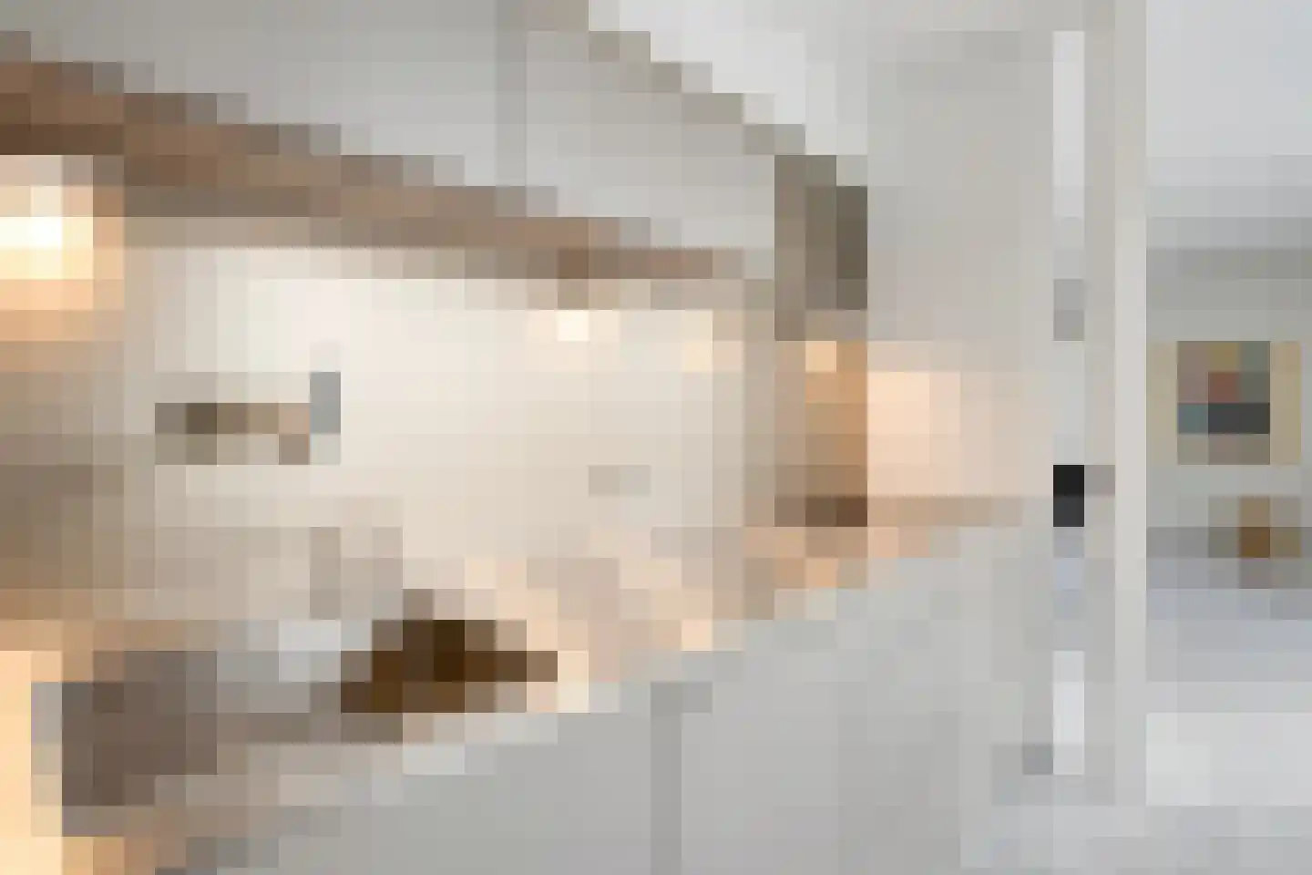 Diodehof 7 Eindhoven thumbnail 13