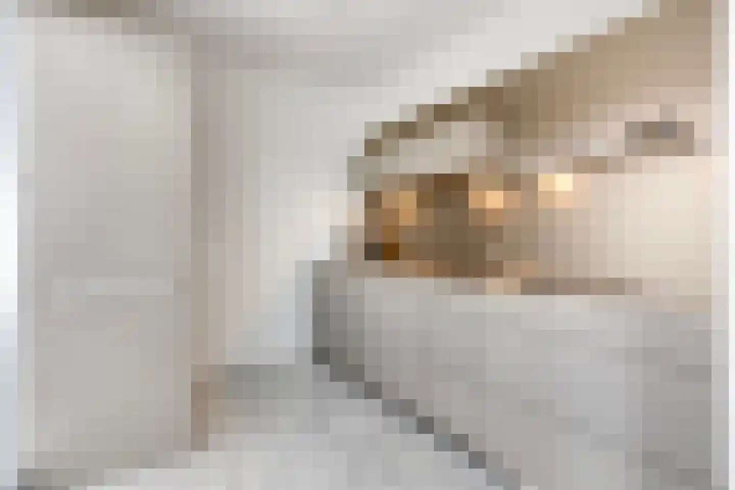 Diodehof 7 Eindhoven thumbnail 14