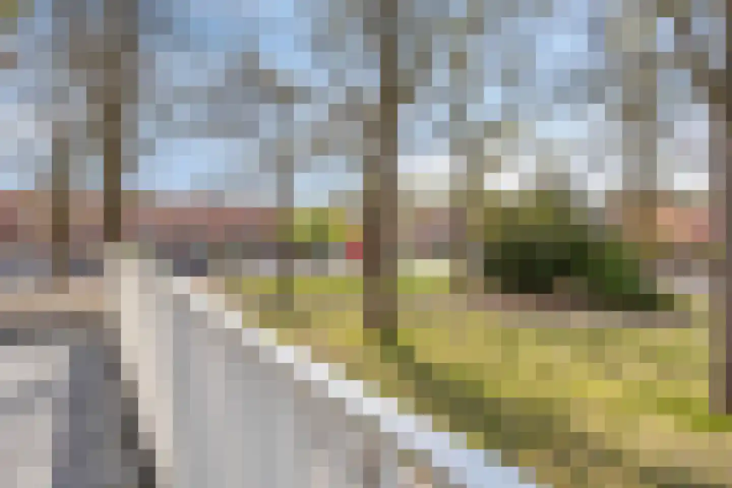 Diodehof 7 Eindhoven thumbnail 28