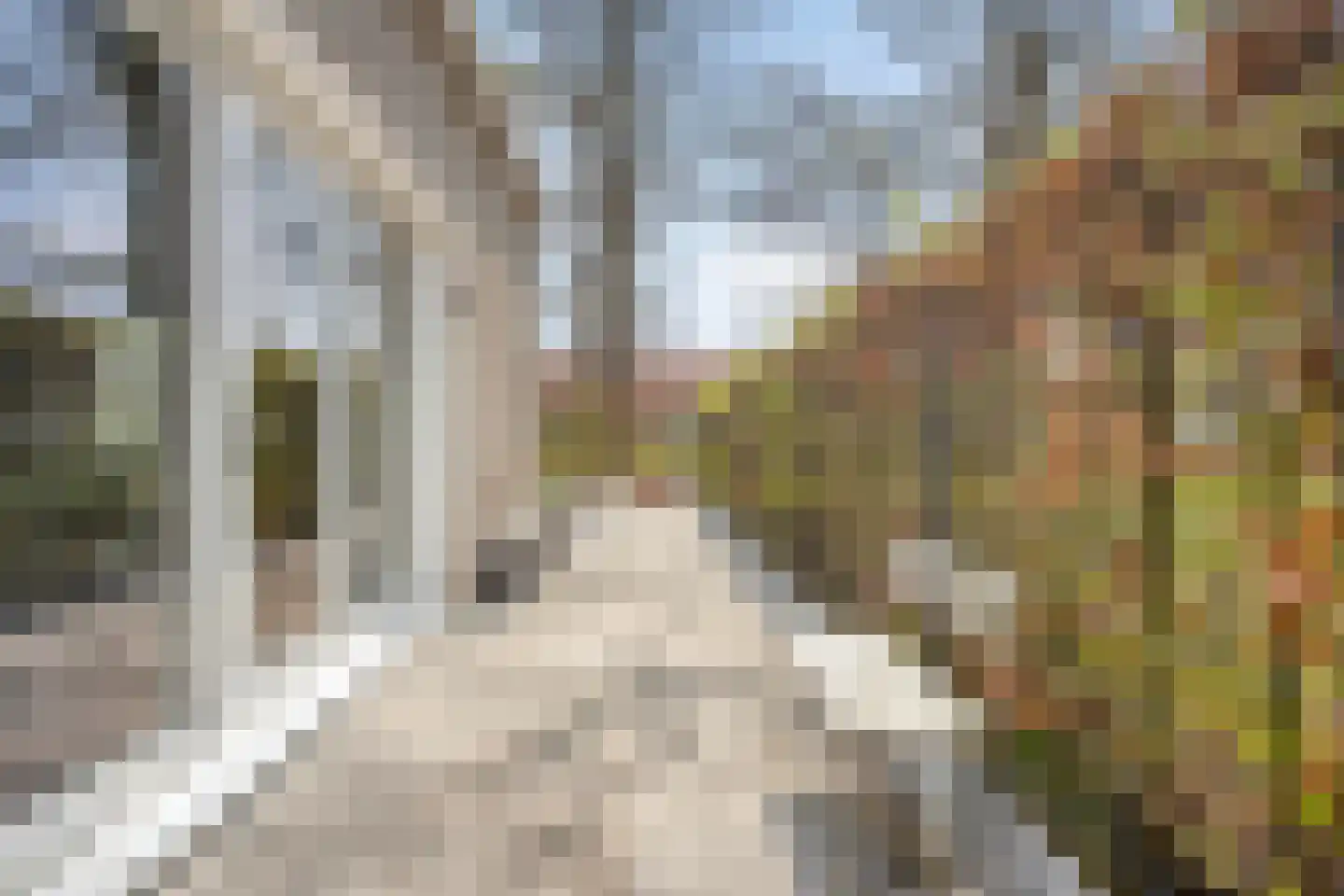 Diodehof 7 Eindhoven thumbnail 33