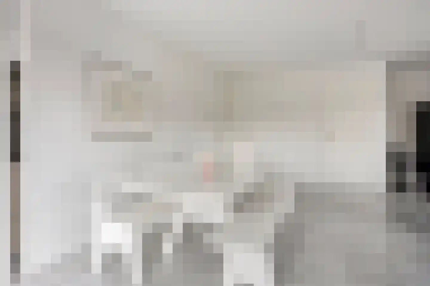 Diodehof 7 Eindhoven thumbnail 8