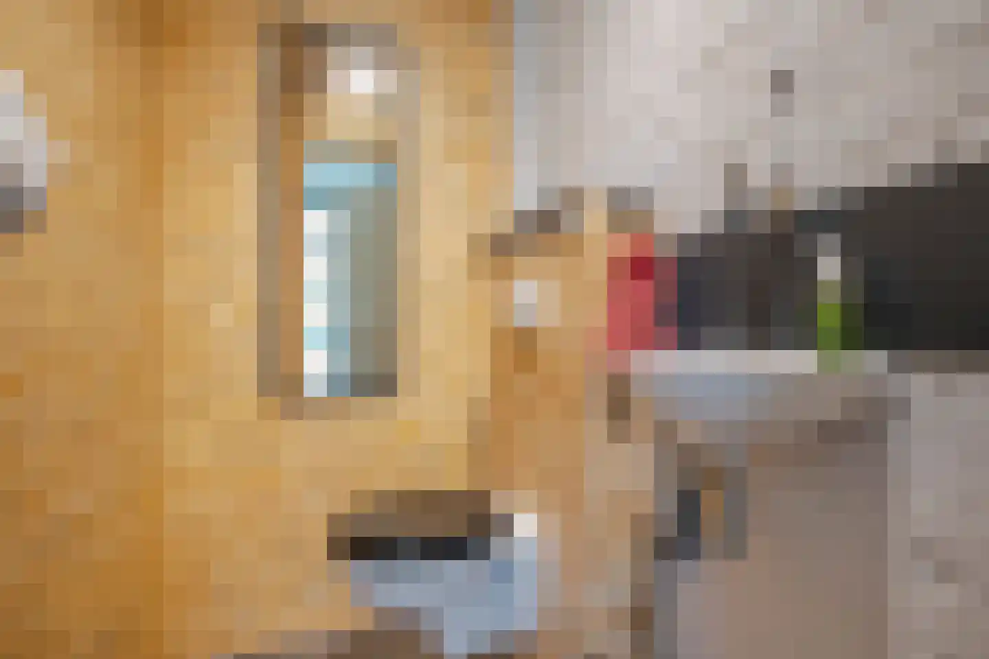 Diogenesstraat 21 Rotterdam thumbnail 7