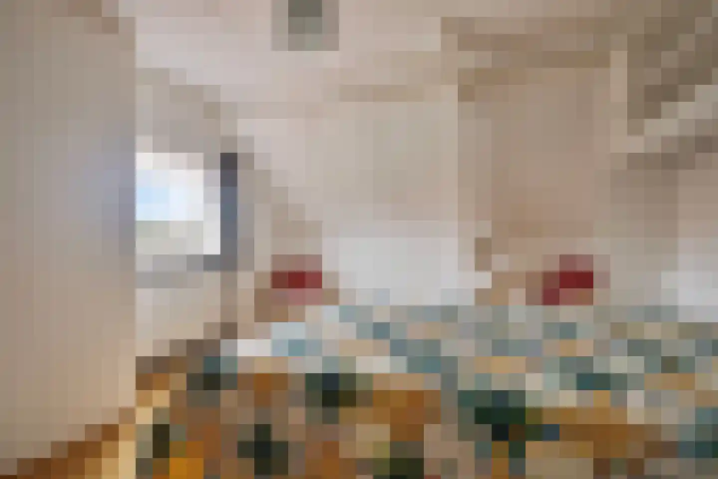 Diomedeweg 2 Retranchement thumbnail 16